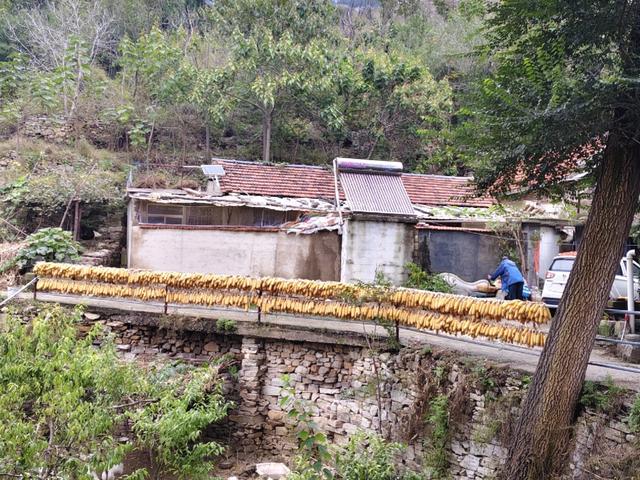 探访博山源泉郑家庄月亮门象鼻子山