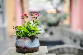 中年男子深爱老婆的四种行为，中两条以上，说明你很幸福图片