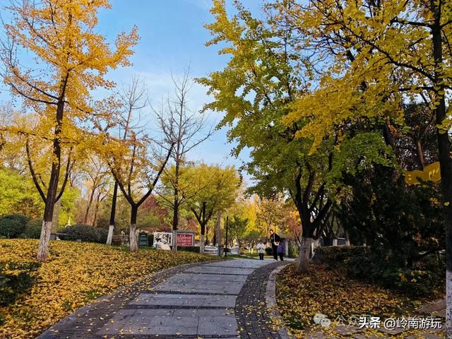 地铁3号线直达，西安城东4A级世博园你有多久没去过了！