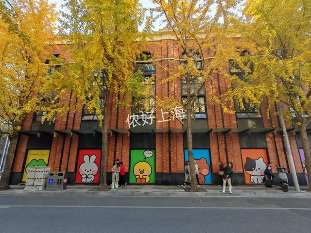 出片率100%！上海人都在找这个“限定露台”！这条“银杏大道”好拍又好吃！