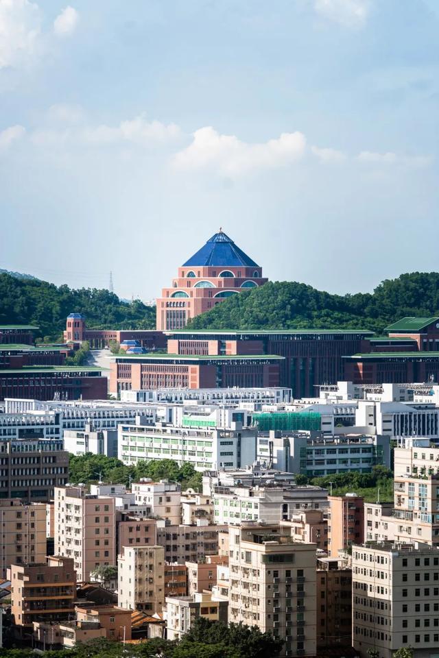光明这个公园，原来这么好逛！