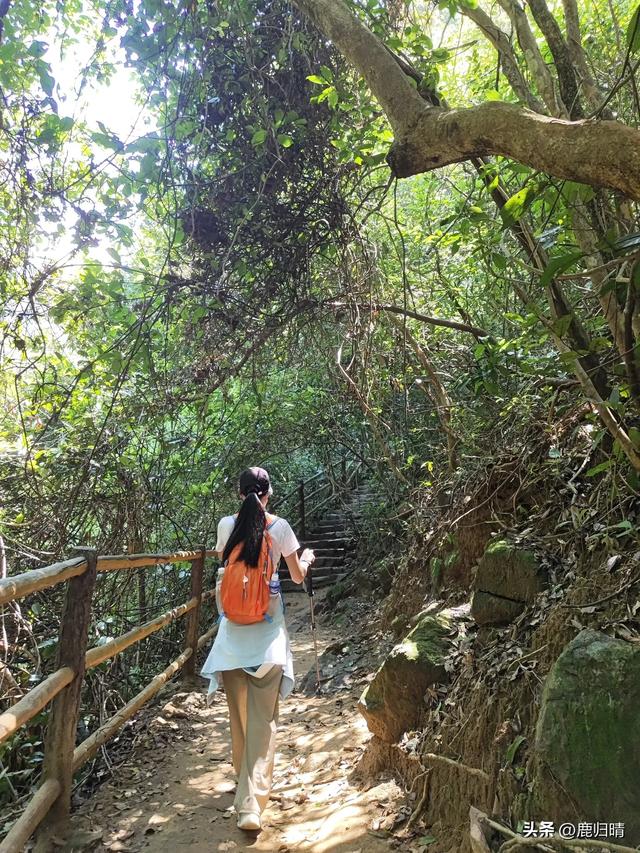 深圳马峦山看瀑布攻略(夏天避暑必去榜)