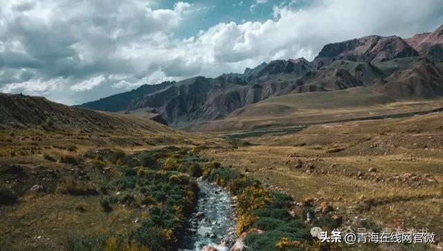 【青海在线网·散文】你见过什么样的青海