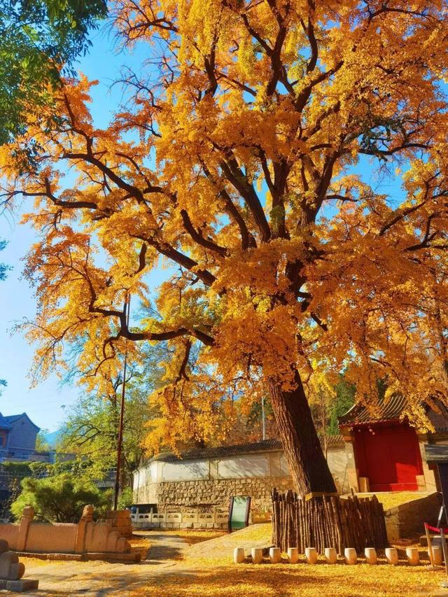 到海淀登高！期待日出、拥抱日落