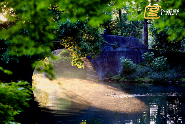 凌晨蹲守只为10分钟！西湖五月奇观光速刷屏，错过等一年