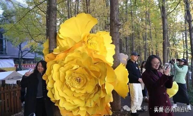 为赛事加“氛”！免票！折扣！超大波“滇超”昆明福利来袭！