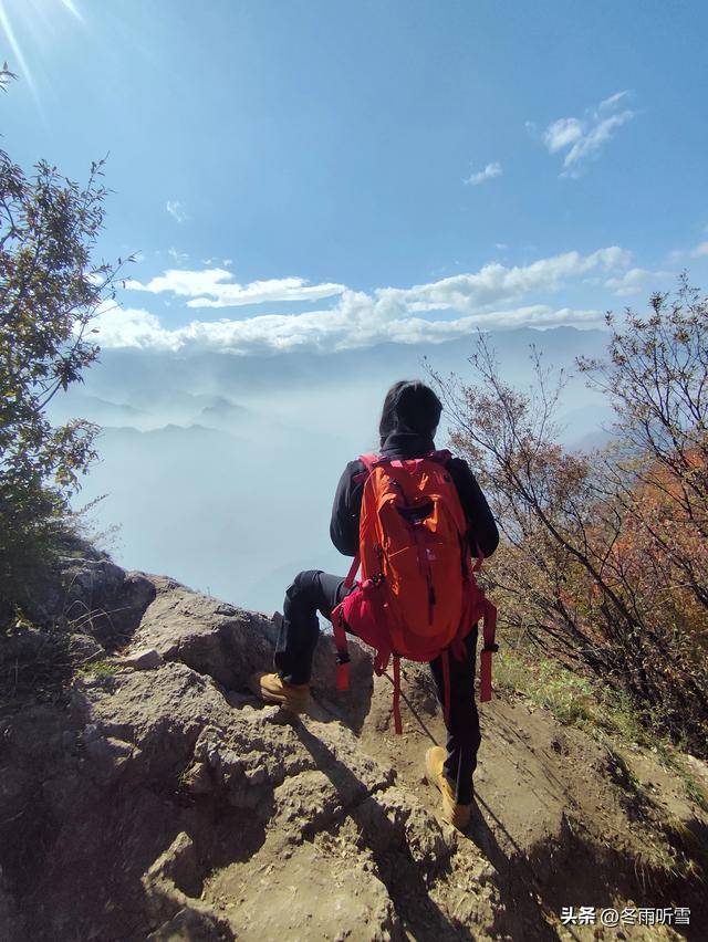 又见山山红叶飞
