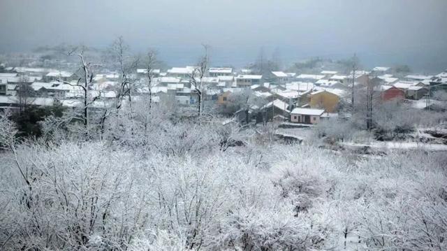 下雪了！下雪了！浙江的第一场雪来了！
