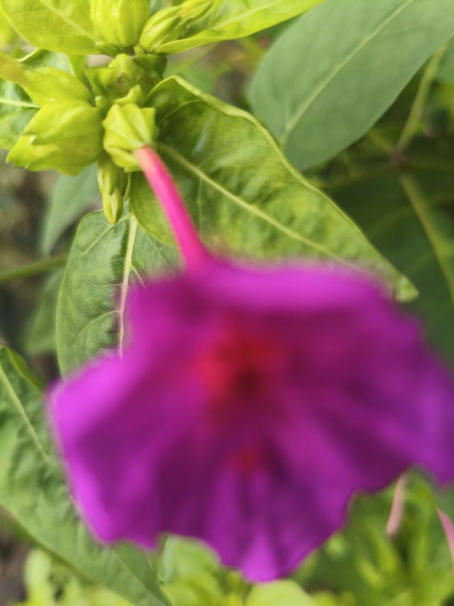 当爱已成往事，回忆为何还那么刺痛