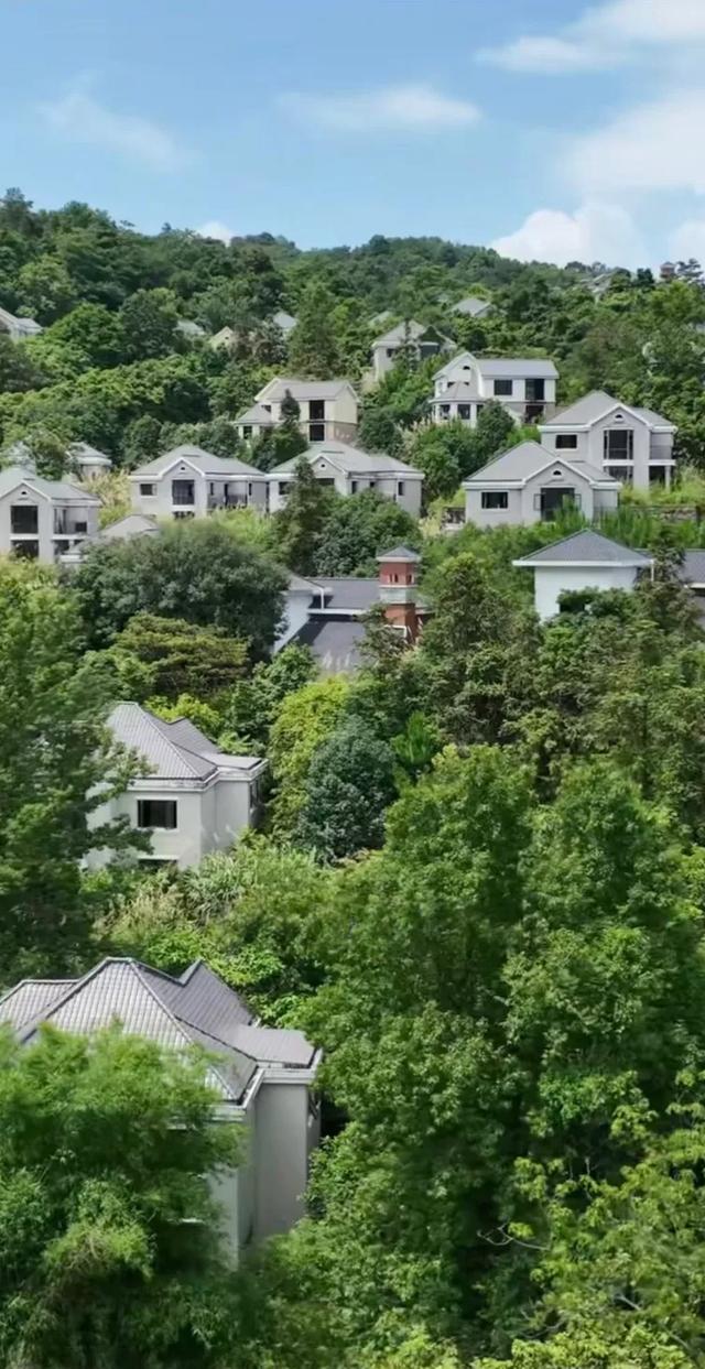 江西的湖碟谷有一处荒废的豪华别墅群周围杂草丛生，大门锈迹斑斑