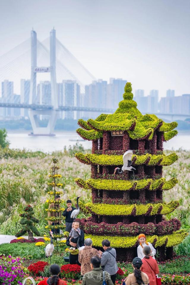 太出片了！这里的枫叶红了，乌桕美了！网友：原来武汉的秋天这么多情！