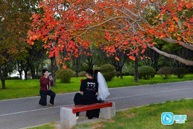 在潍坊汶河岸边，来一场最美的遇见！