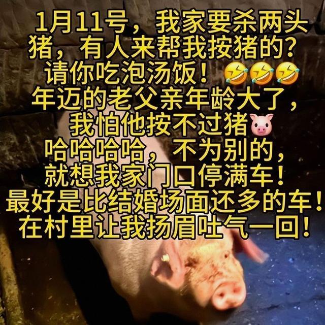 杀猪宴暖意全是假象，官媒揭示呆呆妹真实处境	，隐私遭泄露难招架