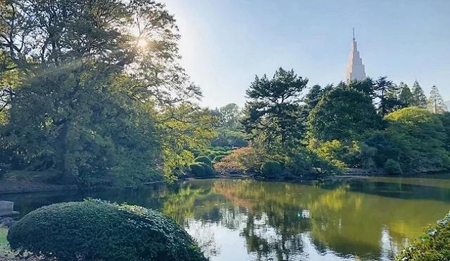 2025新宿车站转车攻略:路线、出口、转乘方式、周边景点总整理