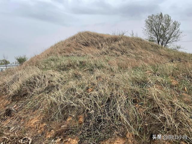 鄂尔多斯市达拉特旗田野考察笔记
