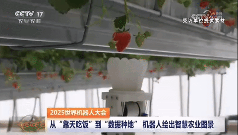 “农场卷王”齐聚世界机器人大会，谁会是田间最靓的仔