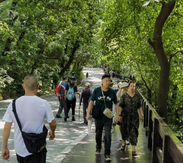 戏水撒欢享清凉！游客被夏日千山圈粉