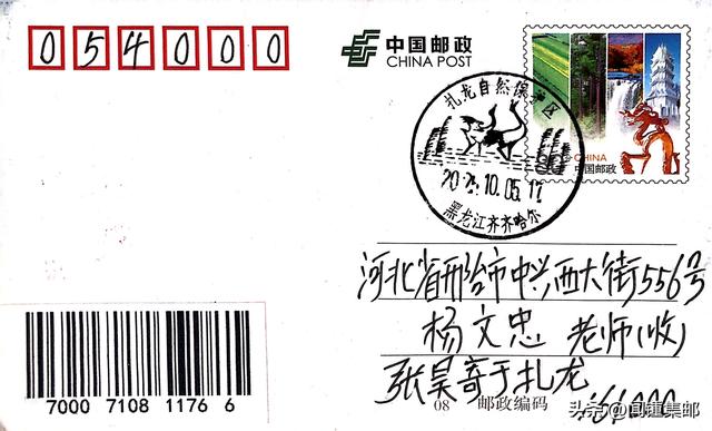 生态瑰宝与鹤乡传奇的扎龙