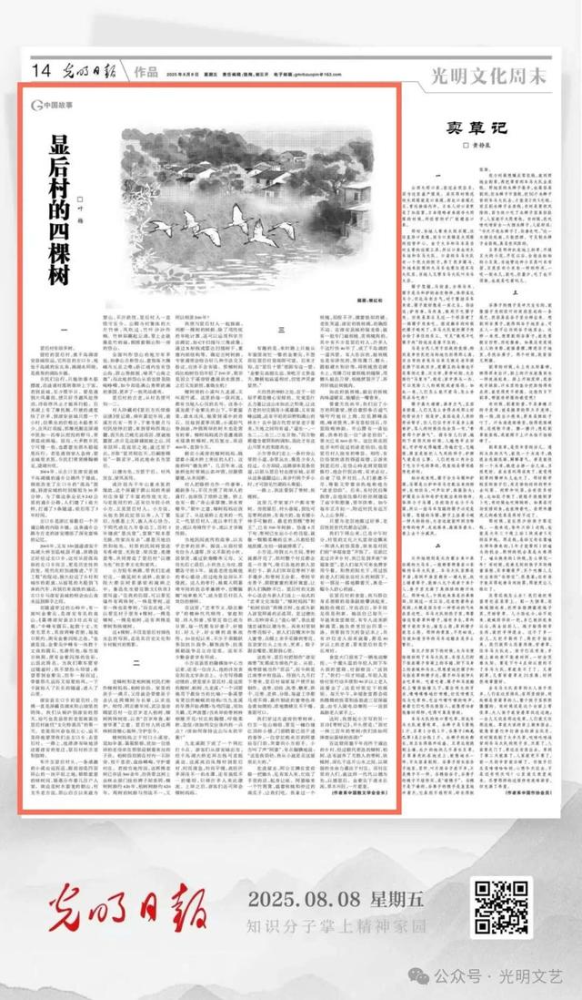 显后村：一个作家的采访掠影