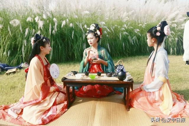 汉中第二届芦苇季即将开始！