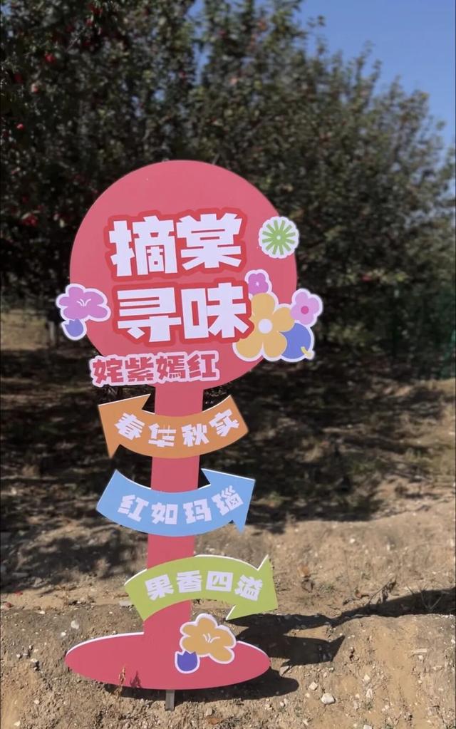 国庆假期不远走！首届中国·怀来海棠文化节盛大开幕，邀八方游客