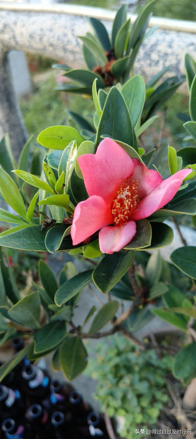 婺源游记-01慢品人间烟火