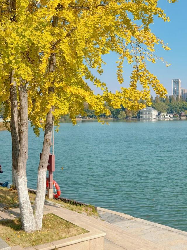 广州人，刚从湖南长沙回来，实在忍不住想说：对长沙的六点印象