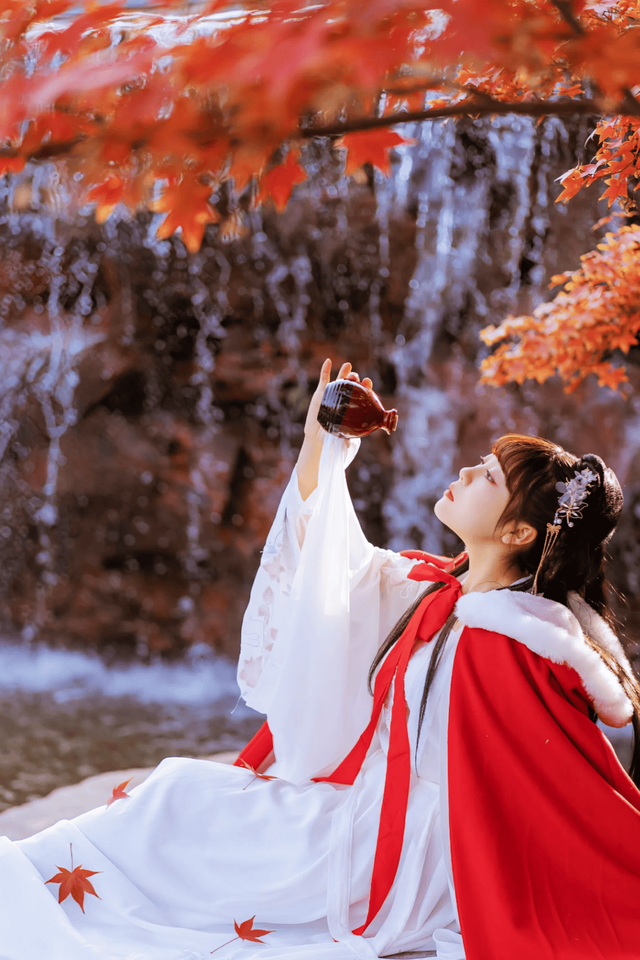 “植愈力”满分！金坛茅山秋冬植物大赏~