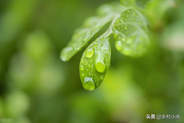 “春节冷不冷，就看大雪”	，明日大雪，2026年春节特别冷吗？