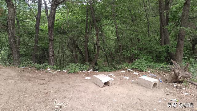 到青华山看千年卧佛，一路上垃圾随处可见