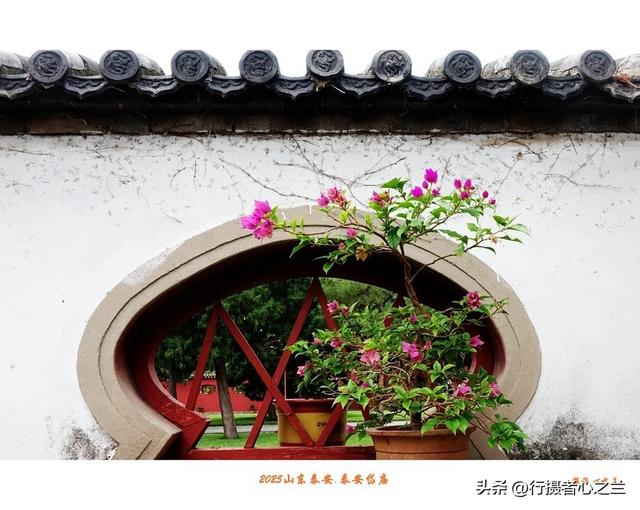 山东行游影记（321）—泰安岱庙（十七）