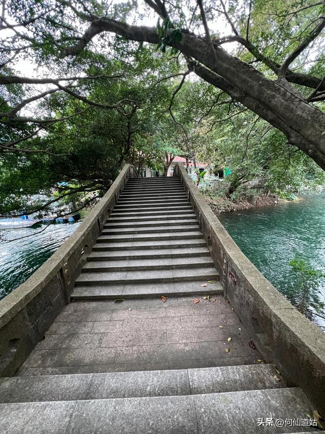 游流溪河森林公园