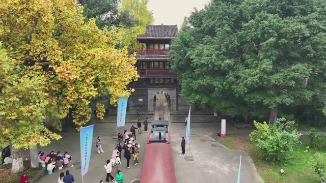 【图说高坪】超出圈 银杏美景邂逅百年工业文化与川超激情