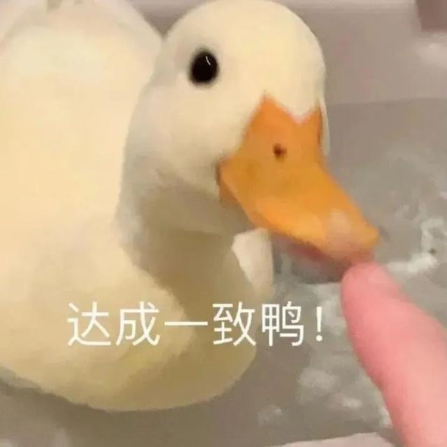 不用签证打卡日韩！体验6天5晚邮轮行，一天炫5顿