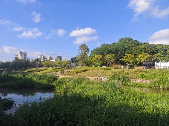 从学苑大道入大沙河绿过大学城后进深圳弯公园流花山景点【高清】