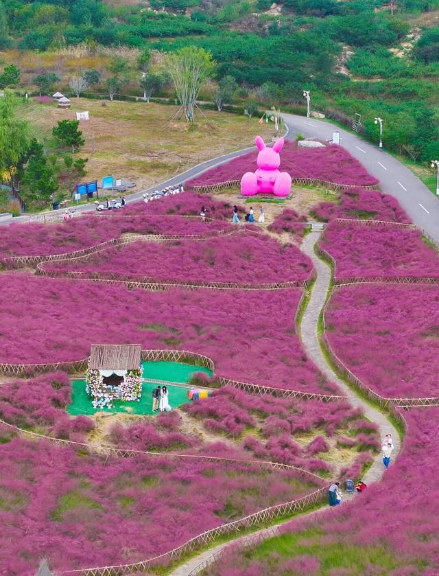 这是日照哪里？这么美！他们，她们，它们都来了！
