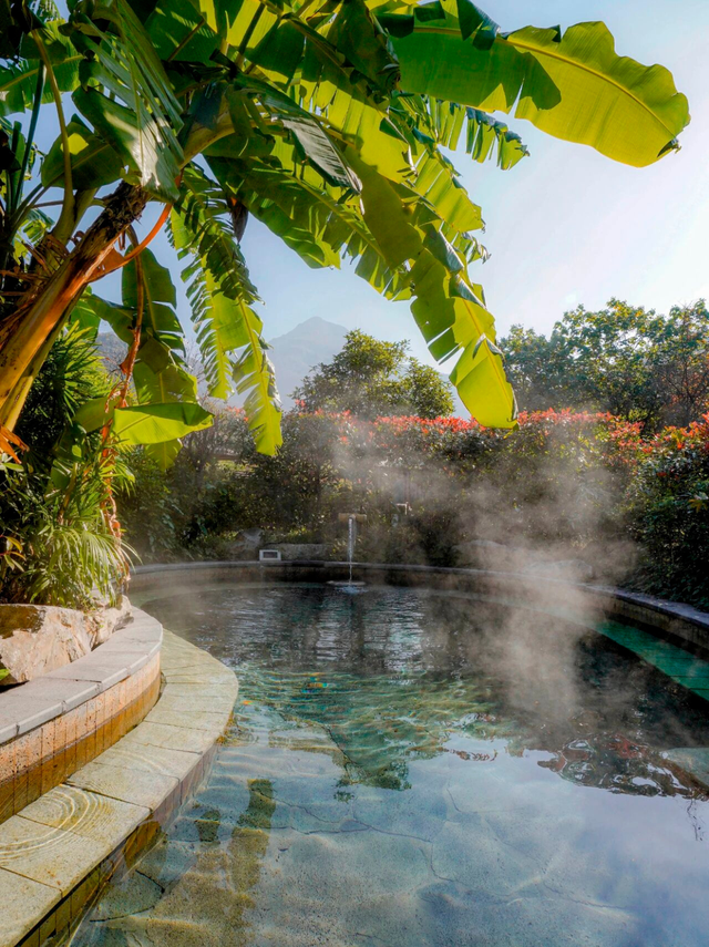 金佛山秋色的含金量，被低估了！🍂