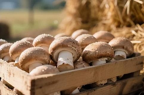 莱州的秋天就要这么玩！这个周末，来小草沟chill一下吧~