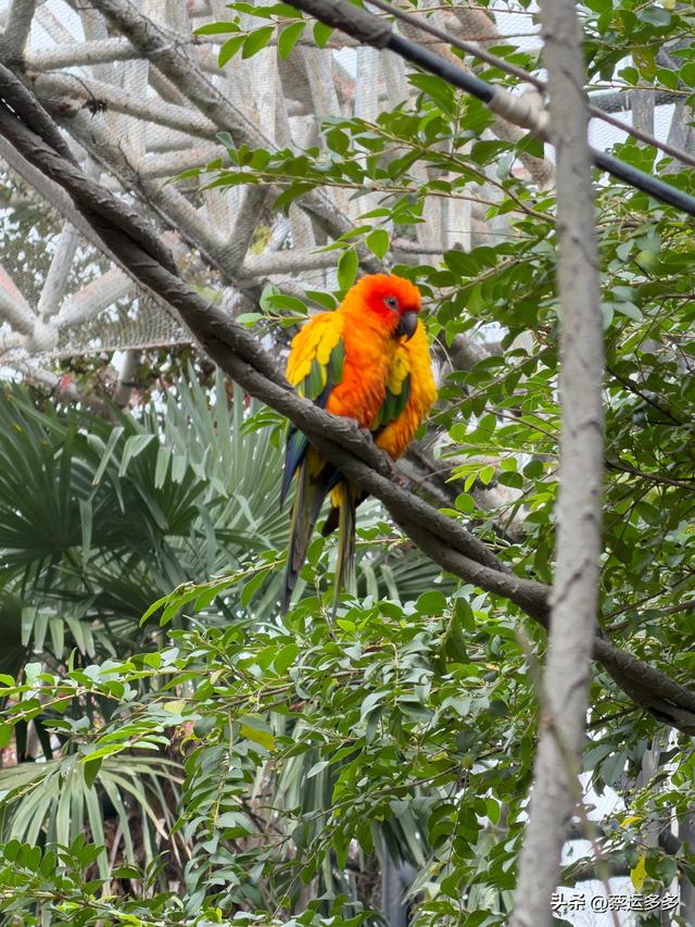 上海动物园的高颜值图鉴
