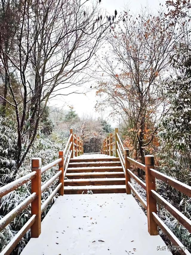 2025年草川子第一场初雪来啦！