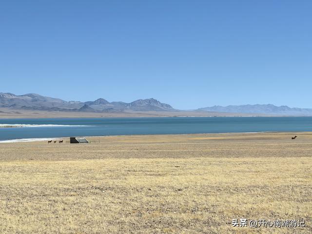 喀什经317到成都，改则-尼玛，途径大地之树、洞措湿地自然保护区