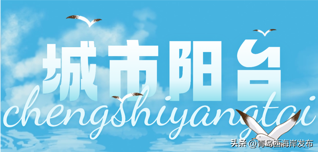 “鸥”耶！西海岸来了一批“老朋友”！