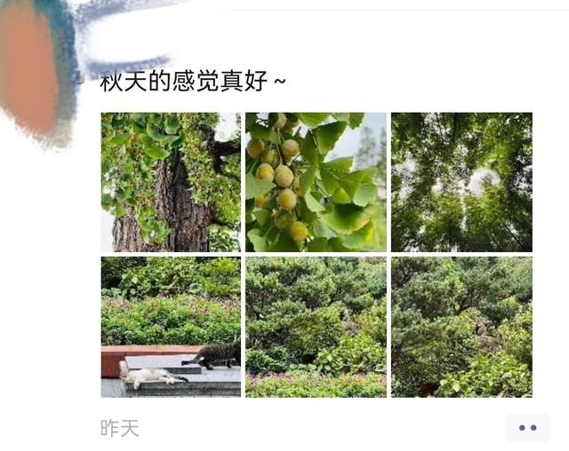 我的朋友圈很干净：大家都在各自的生活圈过着有滋有味的生活