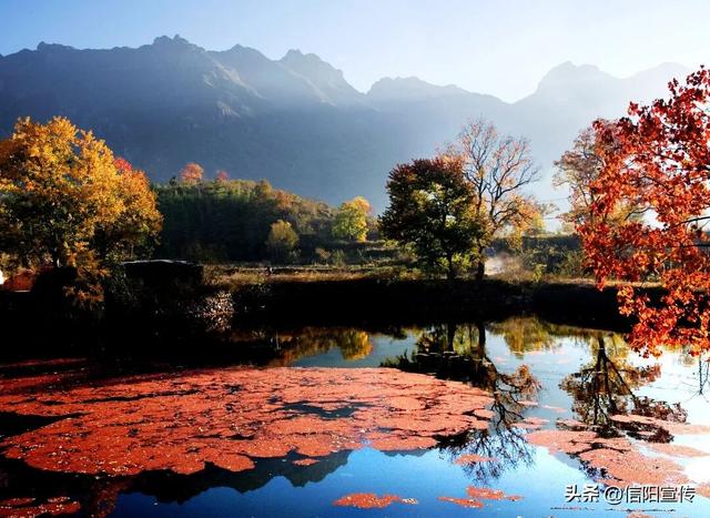 秋色正斑斓！信阳赏秋打卡地推荐