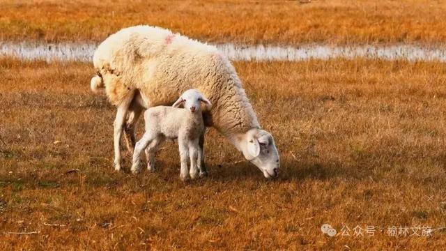 10月,再见;11月,你好!