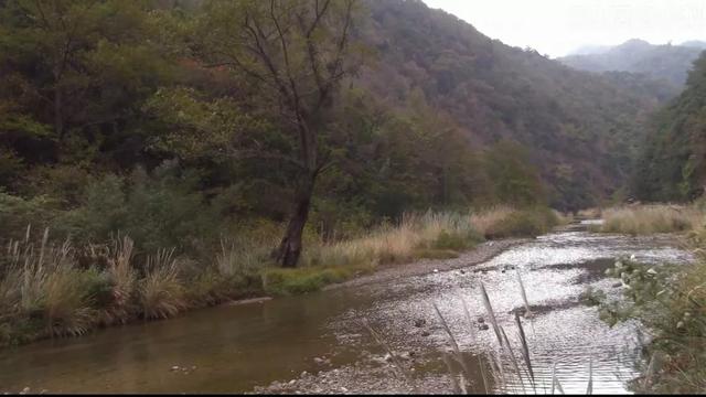 山居这些年,探访过无数苗族村寨,除了羡慕还是羡慕