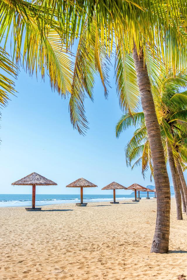 3710公里，这条避寒的20°C候鸟路线，从东北到海南，一路美到底！