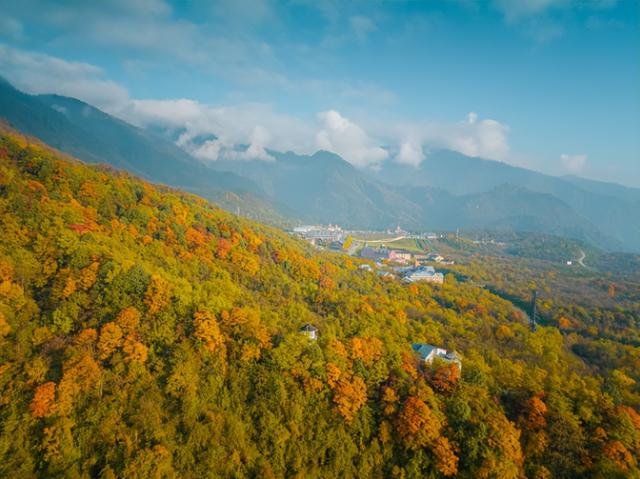 划得来！秋天来西岭雪山看彩林，门票直接免了！