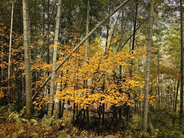 为什么越来越多的人喜欢爬山了?