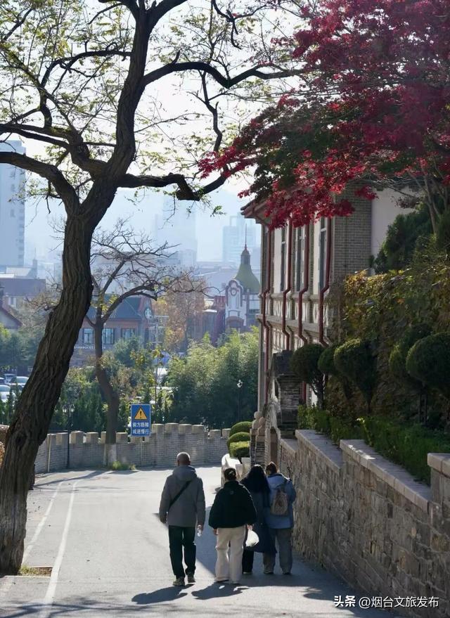 【乐游烟台】现在就冲！烟台这几处街景美到开挂